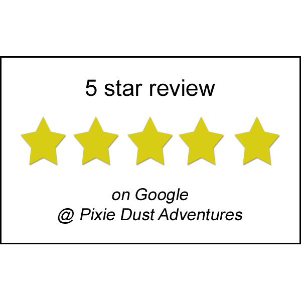 5-star-Google-Reviews-PDA